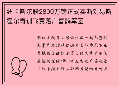 纽卡斯尔联2800万镑正式买断刘易斯霍尔青训飞翼落户喜鹊军团